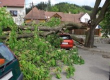 Kwikfynd Tree Cutting Services
boolarra