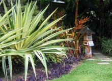 Kwikfynd Tropical Landscaping
boolarra