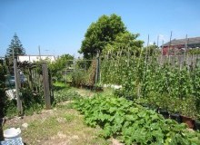 Kwikfynd Vegetable Gardens
boolarra